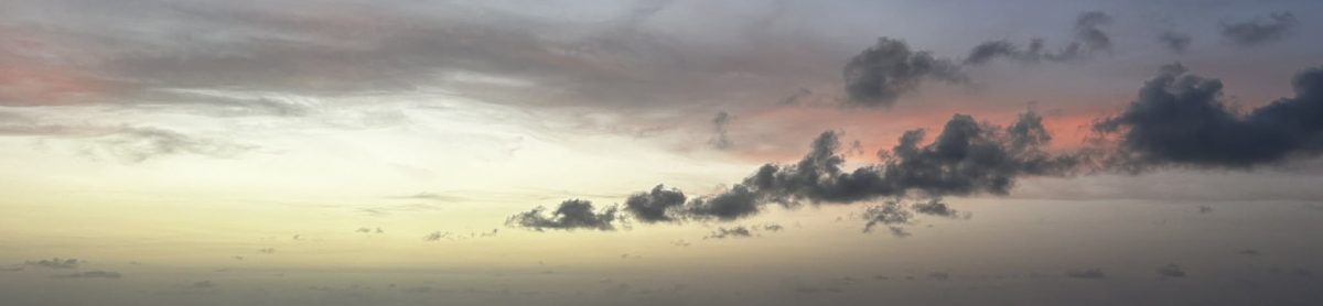 Bold, Slow and Intentional